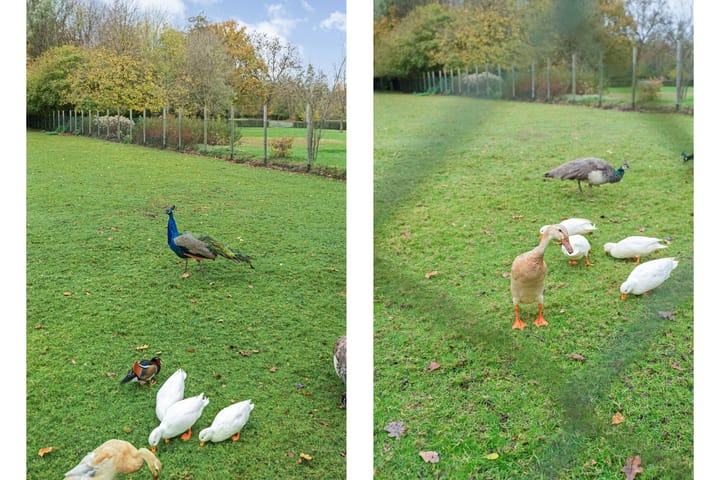 Photo 50 of Hoofdstraat 10