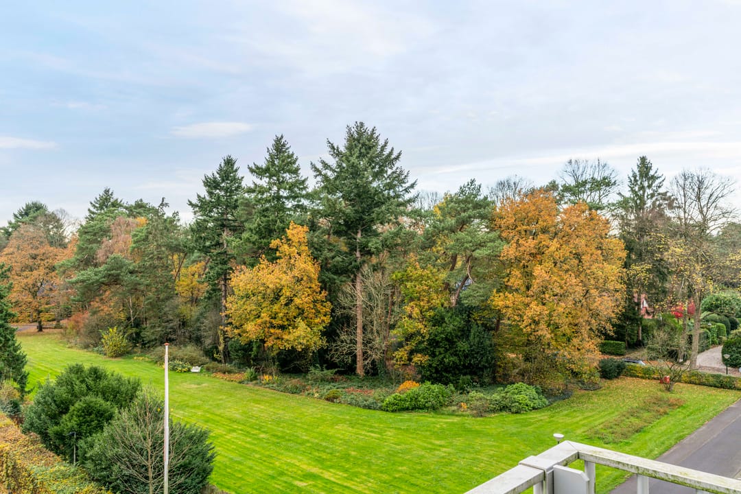 Foto 37 van De Hooghlaan 2-B35