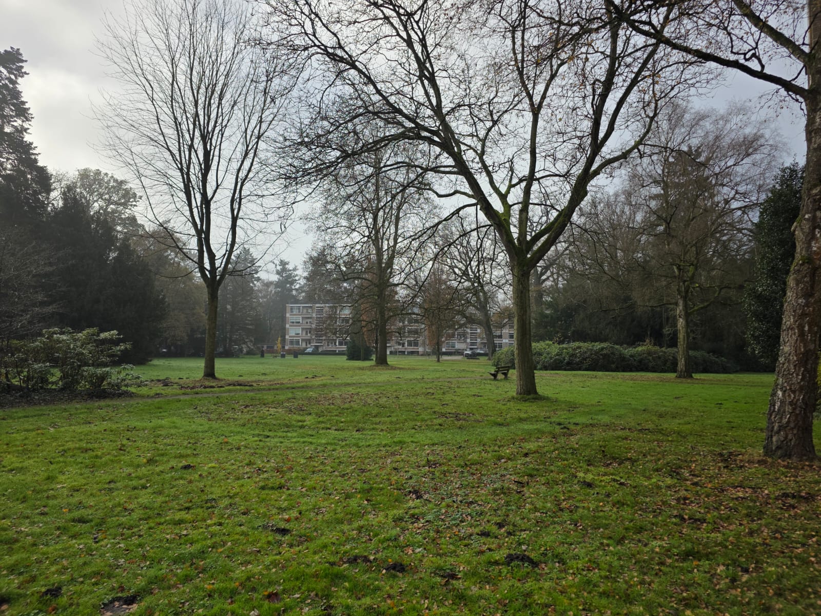 Photo 3 of Park de Kotten 221