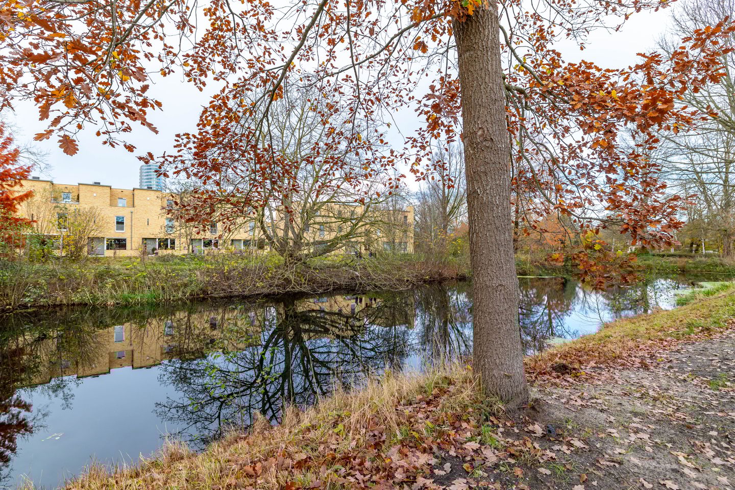 Foto 5 van Bachkade 13