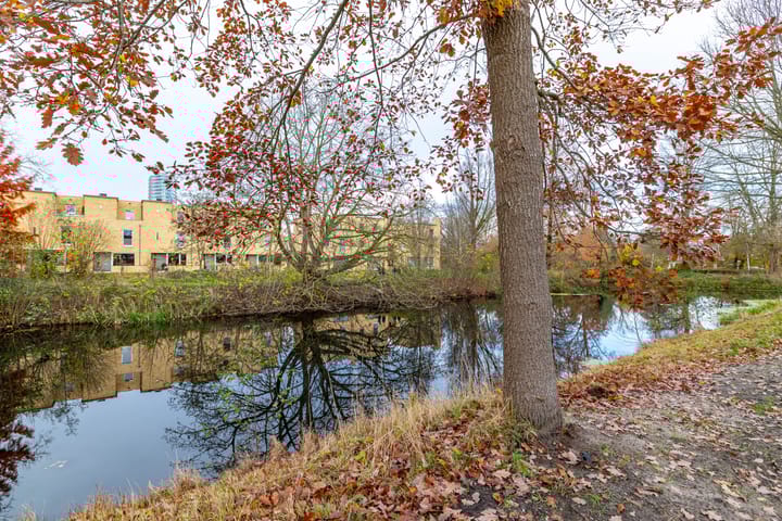 Photo 5 of Bachkade 13