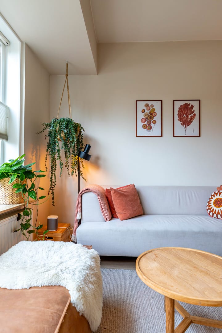 Photo 16 of Bachkade 13