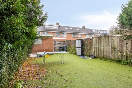 Meijhorst 5266 tertiary image