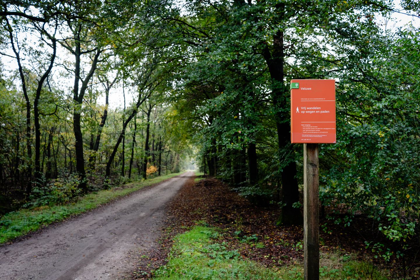 Foto 65 van Hogekampweg 15