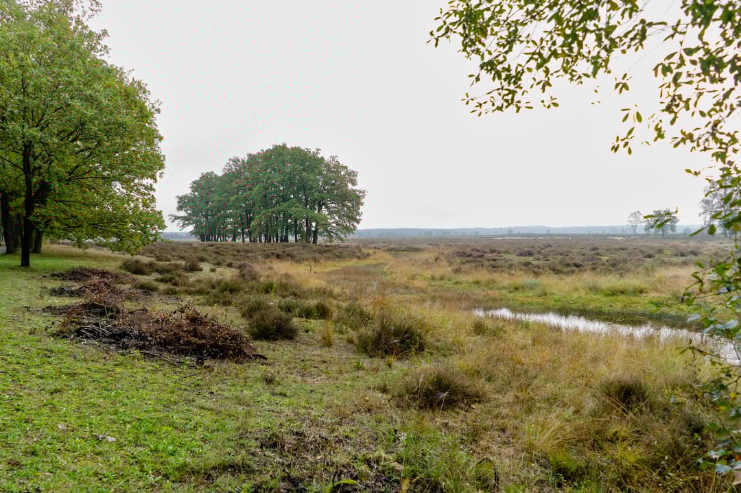 Foto 67 van Hogekampweg 15