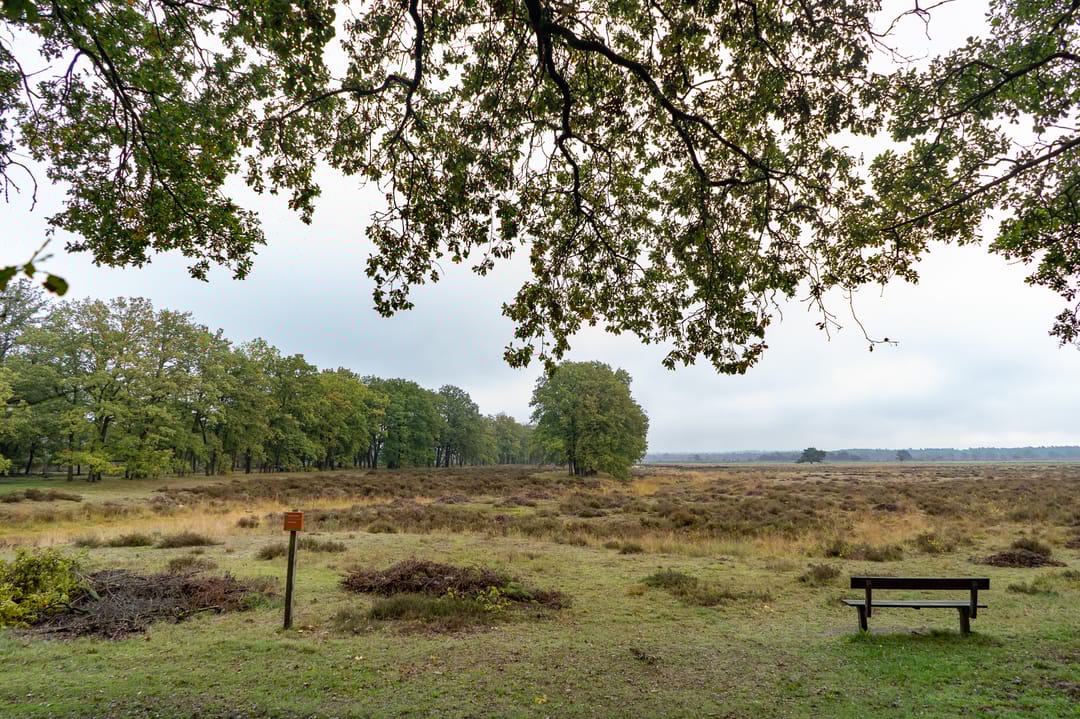 Foto 68 van Hogekampweg 15