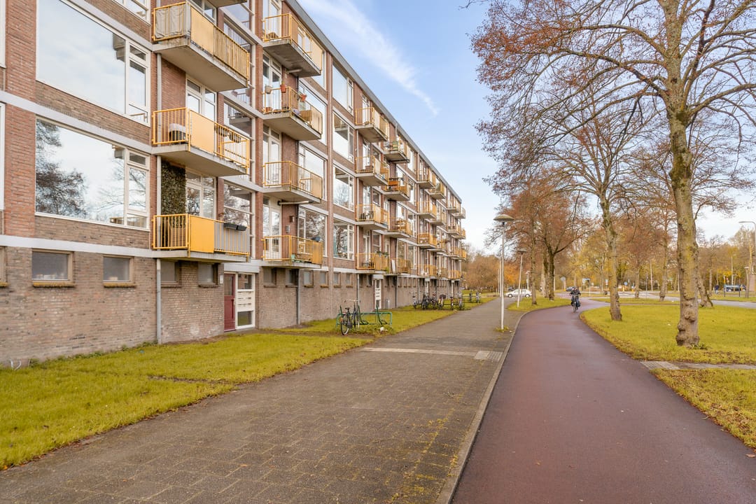 Foto 23 van Moezeldreef 179