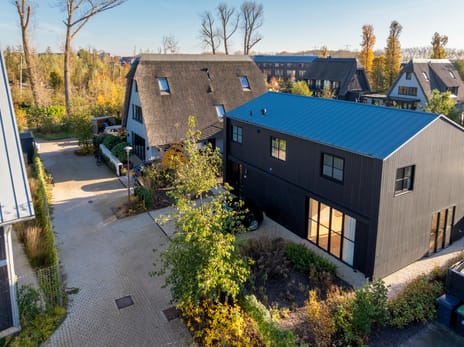 Holenduif 6 tertiary image