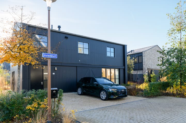 Foto 30 van Holenduif 6