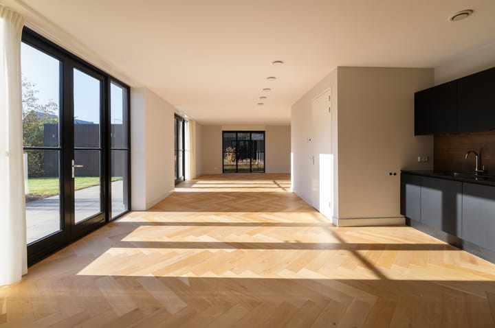 Foto 11 van Holenduif 6