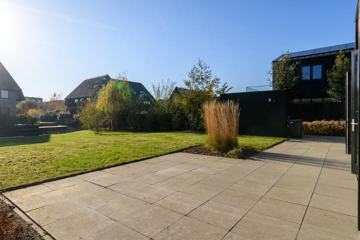 Foto 28 van Holenduif 6