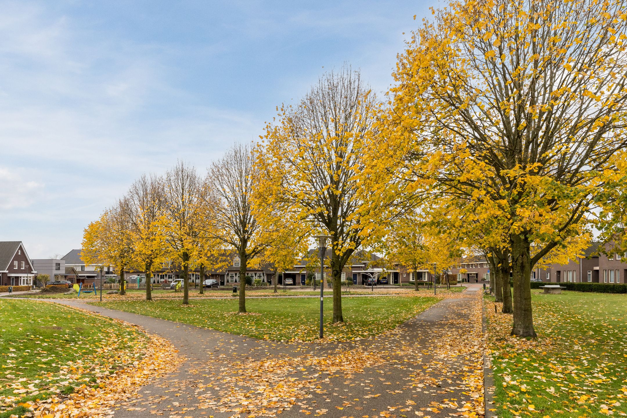 Foto 36 van Koolbogt 60