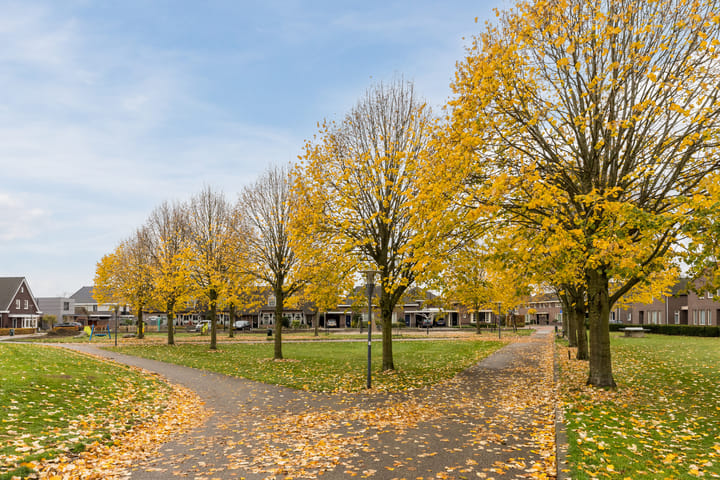 Foto 36 van Koolbogt 60