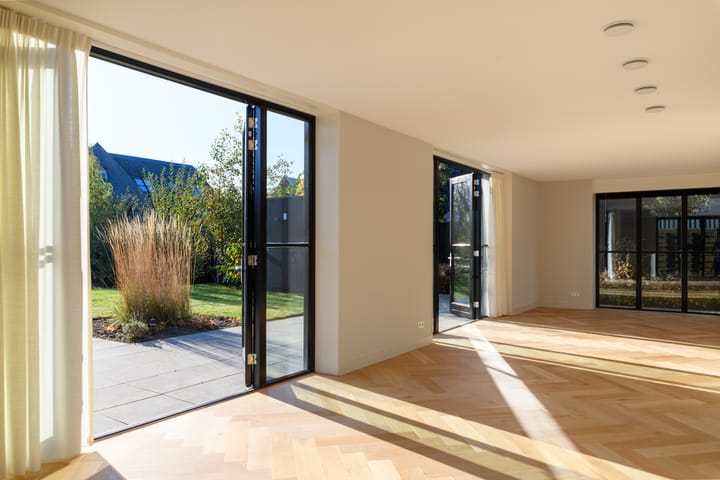 Foto 6 van Holenduif 6