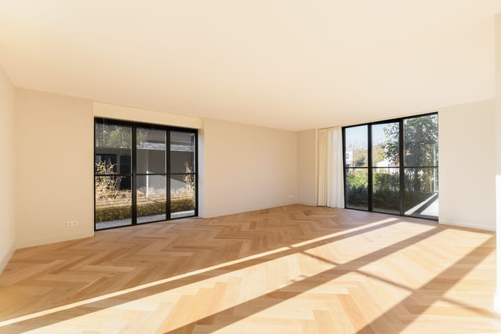 Foto 9 van Holenduif 6