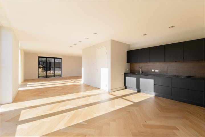 Foto 10 van Holenduif 6