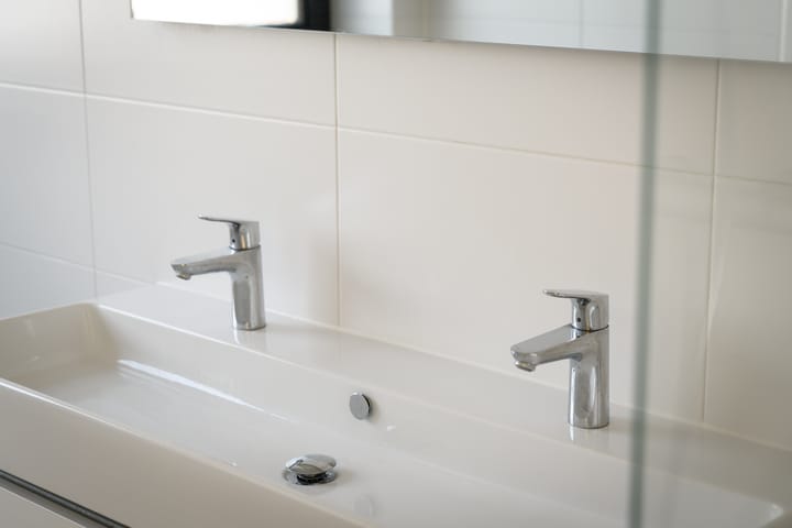 Foto 19 van Holenduif 6