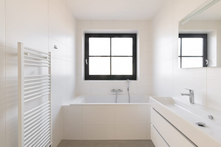 Foto 17 van Holenduif 6