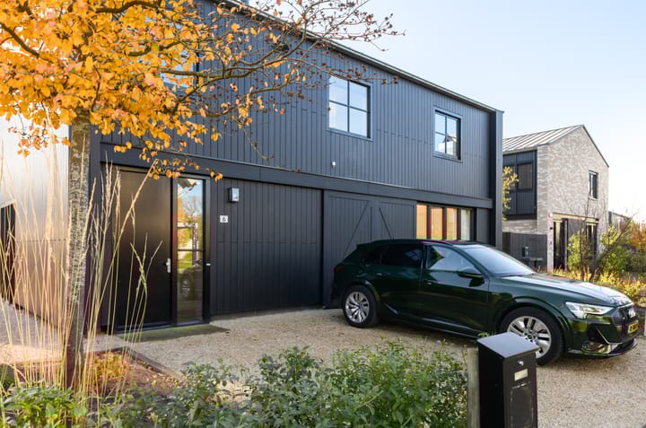 Foto 31 van Holenduif 6