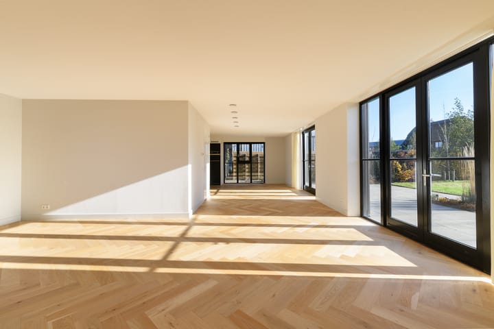 Foto 7 van Holenduif 6