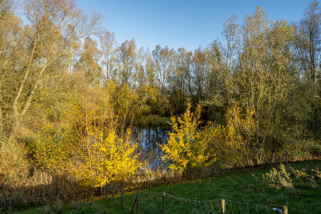 Foto 31 van Prinses Marijkesluisweg 9