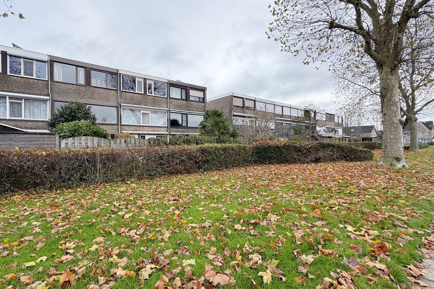 Foto 49 van Plataanstraat 19