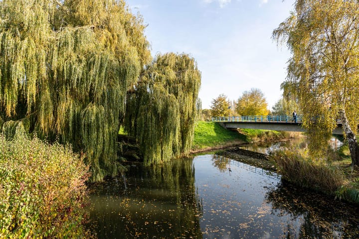 Foto 49 van Juweellaan 129