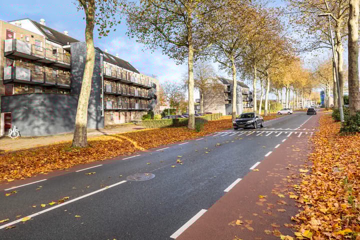 Photo 7 of Boris Pasternak-erf 305