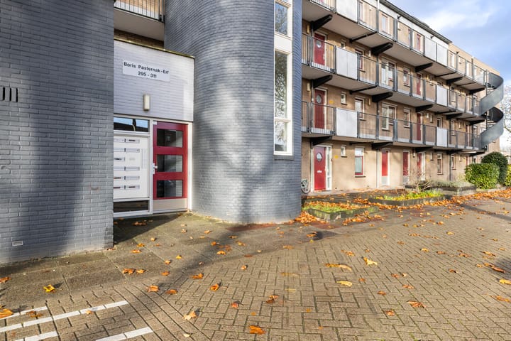 Photo 11 of Boris Pasternak-erf 305