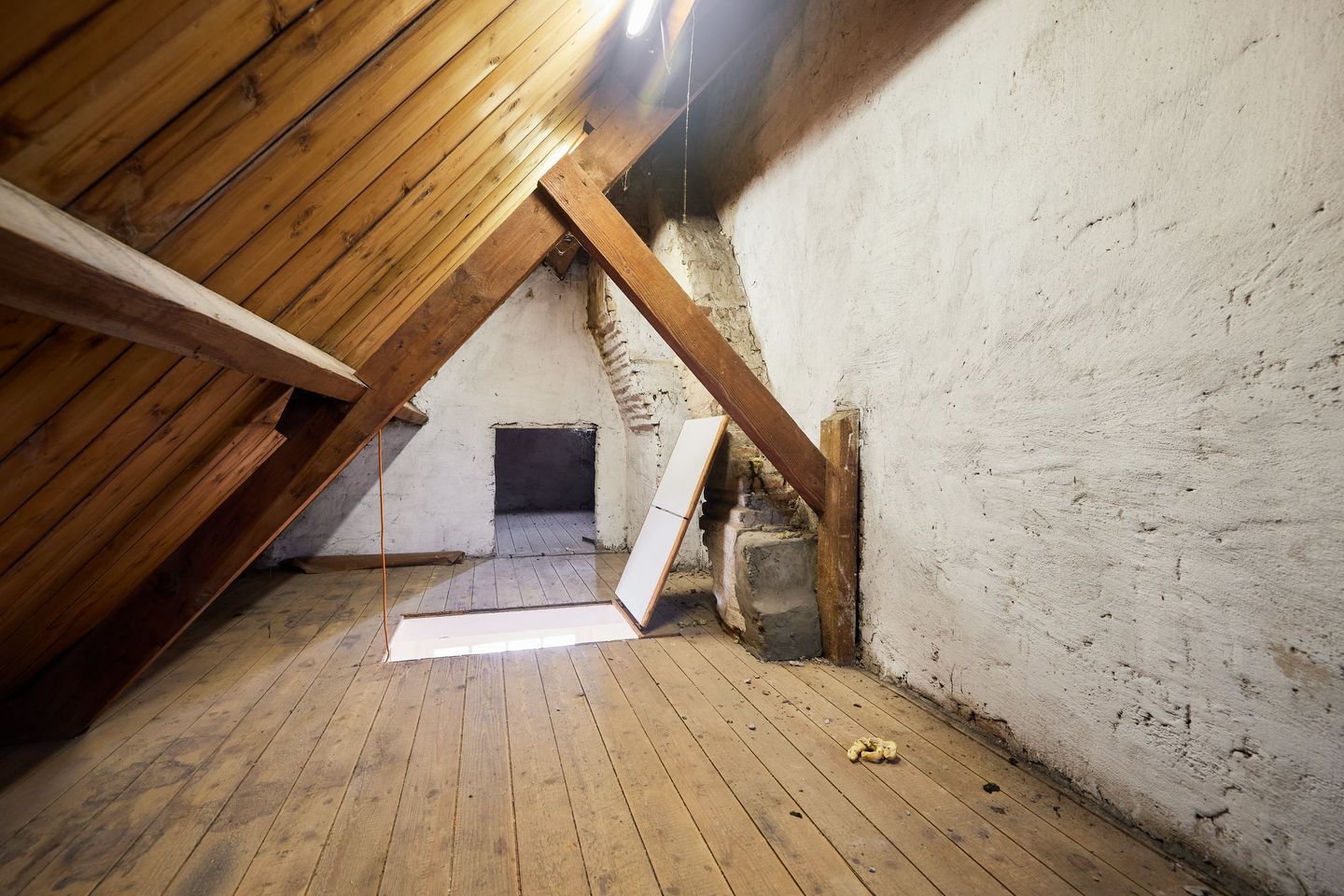 Foto 20 van Koningin Wilhelminaweg 468