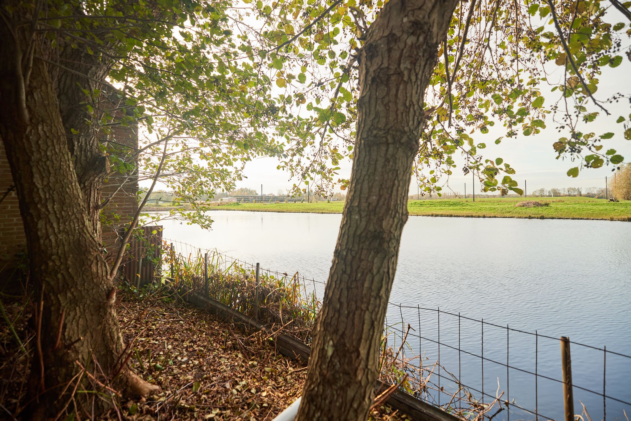 Foto 36 van Koningin Wilhelminaweg 468