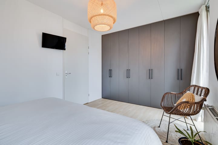 Photo 21 of Vuurvlinder 118