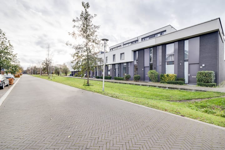 Photo 33 of Vuurvlinder 118