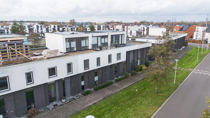 Photo 36 of Vuurvlinder 118