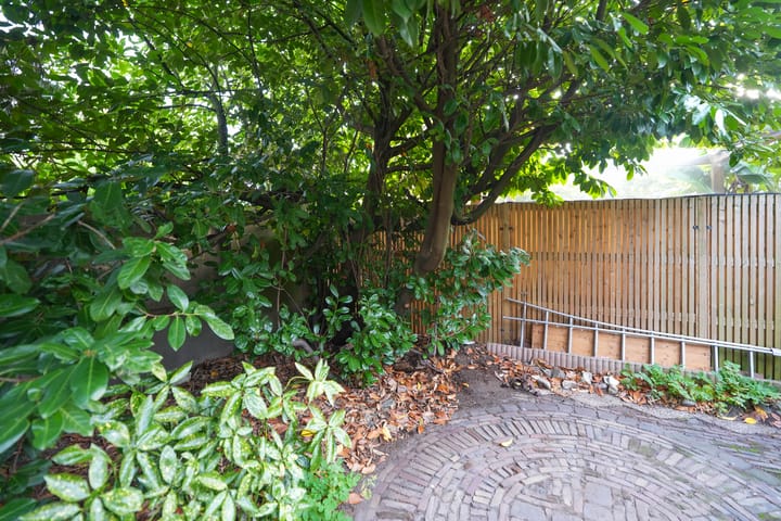 Photo 33 of Bredestraat 40