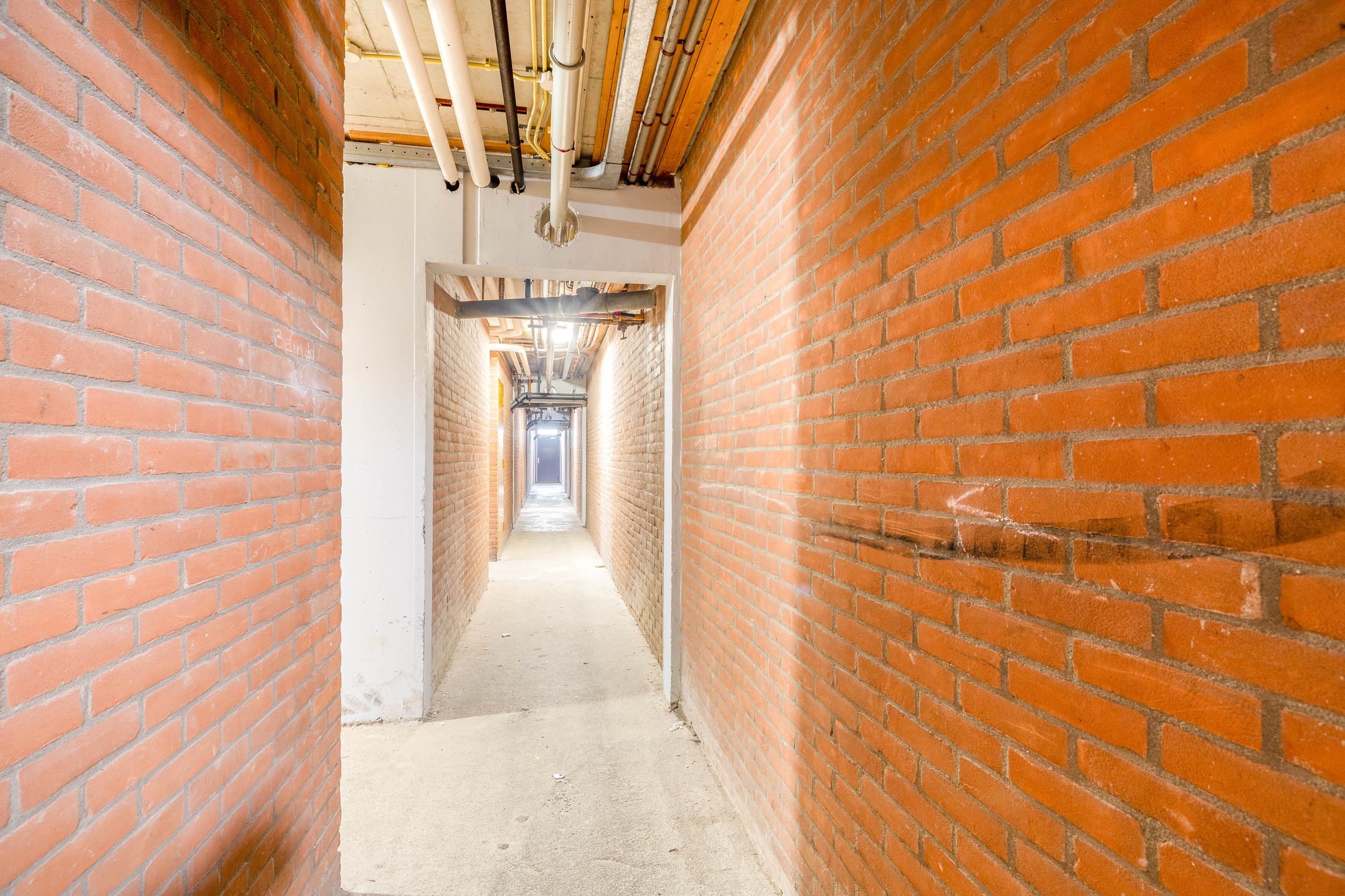 Foto 36 van Curieplaats 25