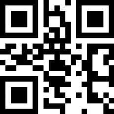 Photo 10 of Praam 265