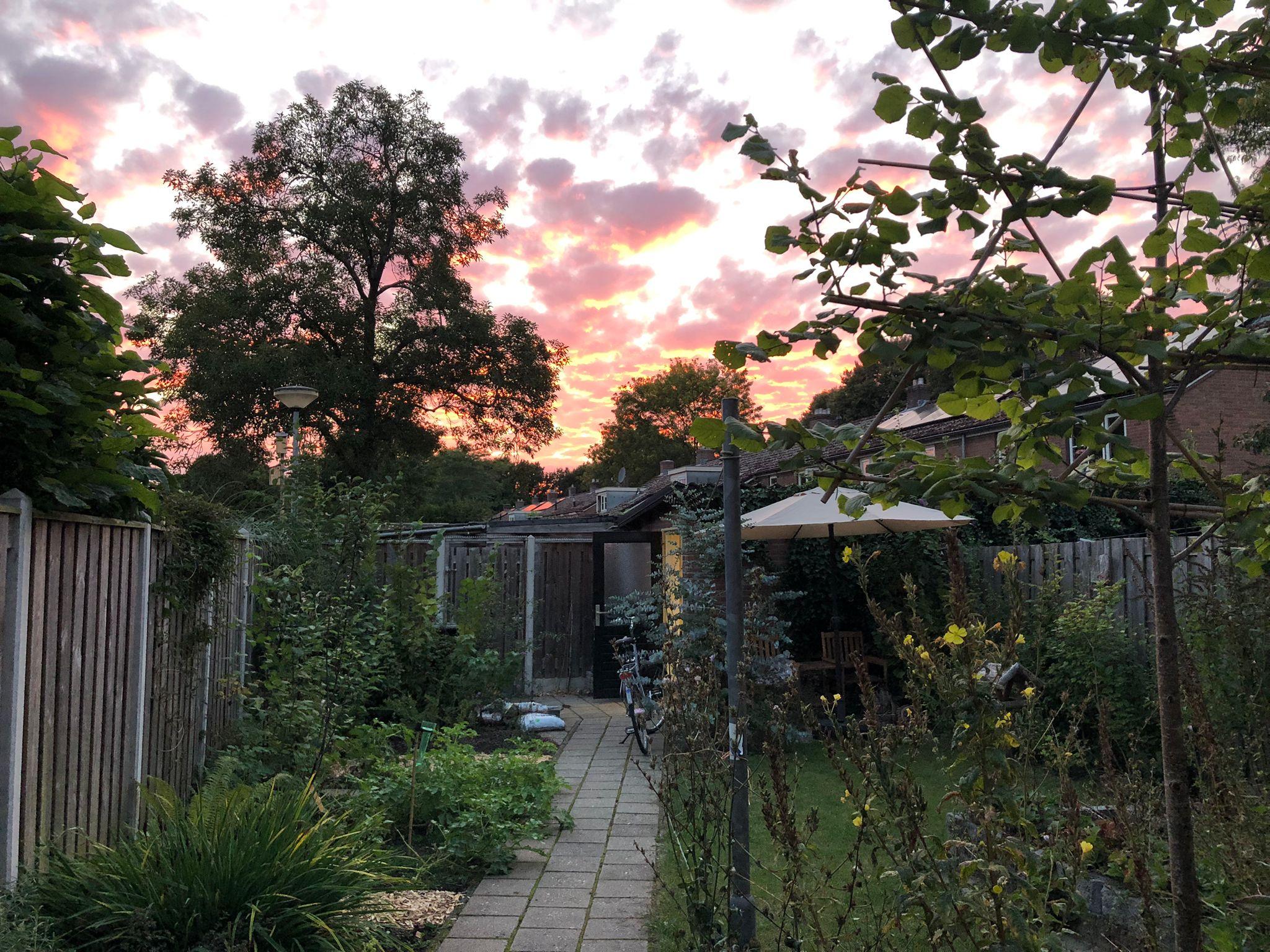 Foto 27 van Voorsterweg 17