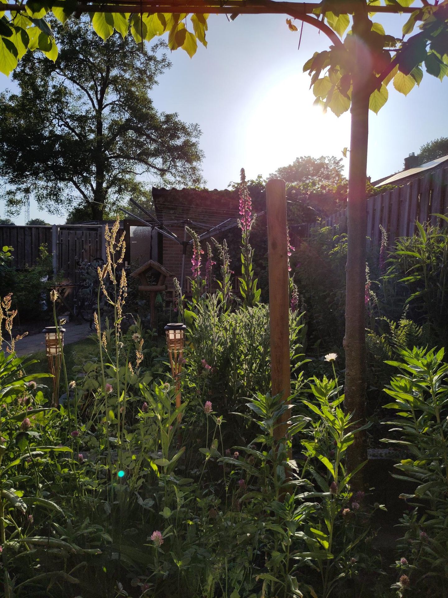 Foto 29 van Voorsterweg 17