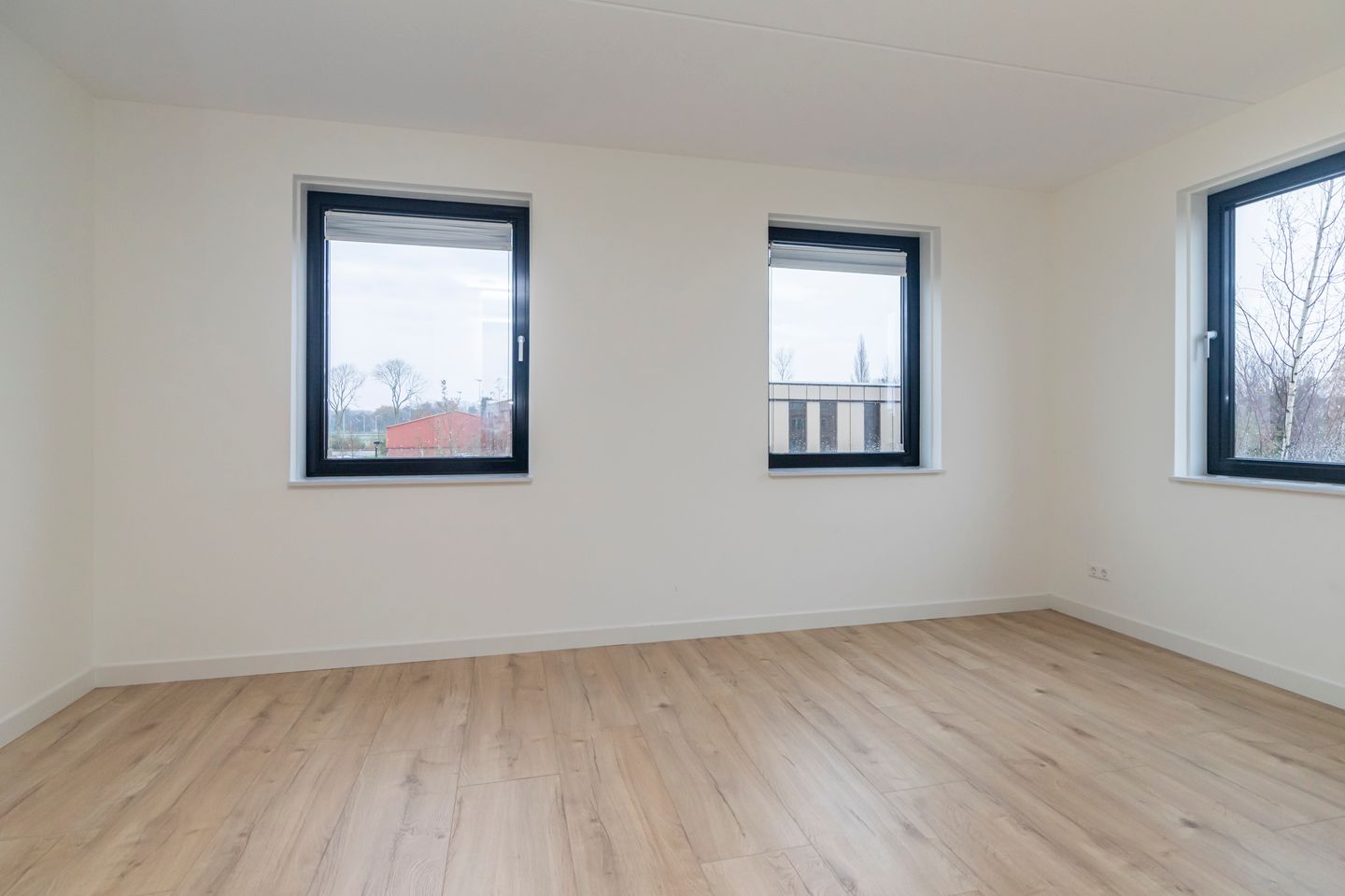 Photo 29 of Ellen Warmondhof 6