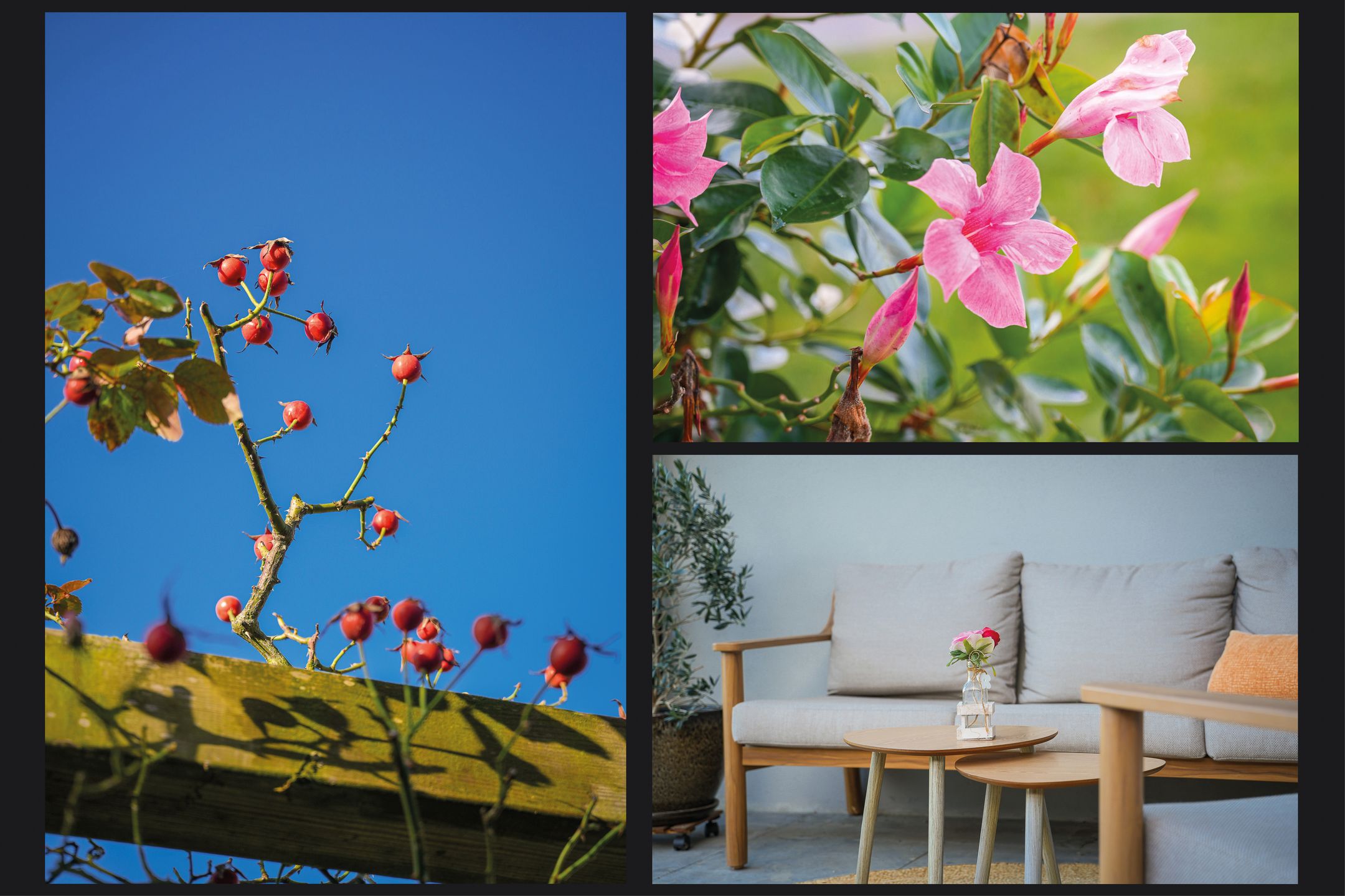 Foto 48 van Theo van Rijenlaan 14