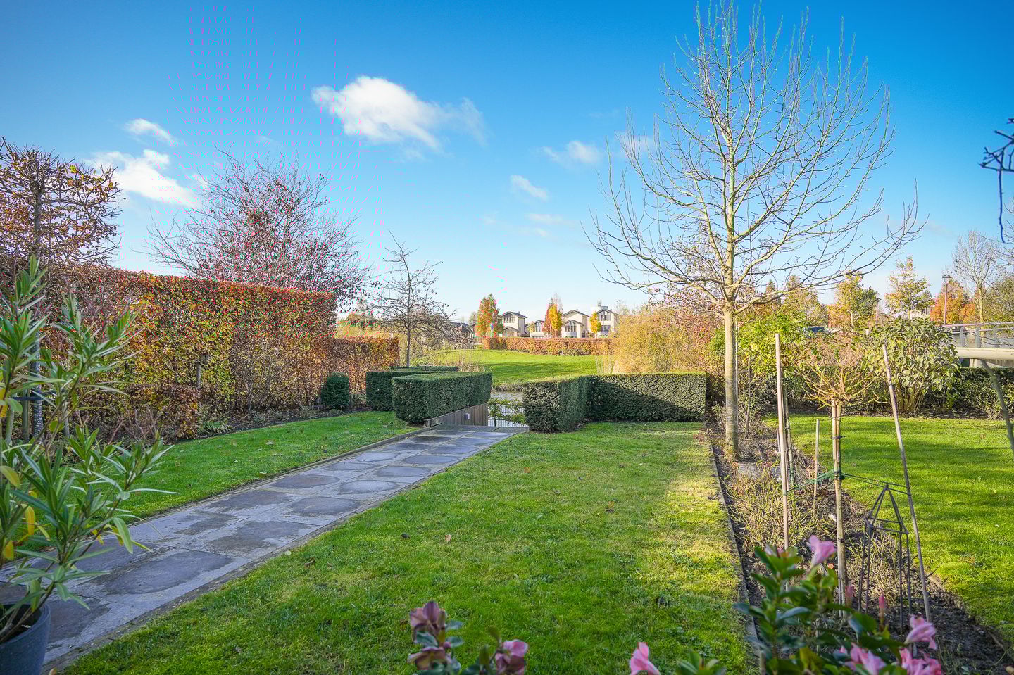 Foto 50 van Theo van Rijenlaan 14