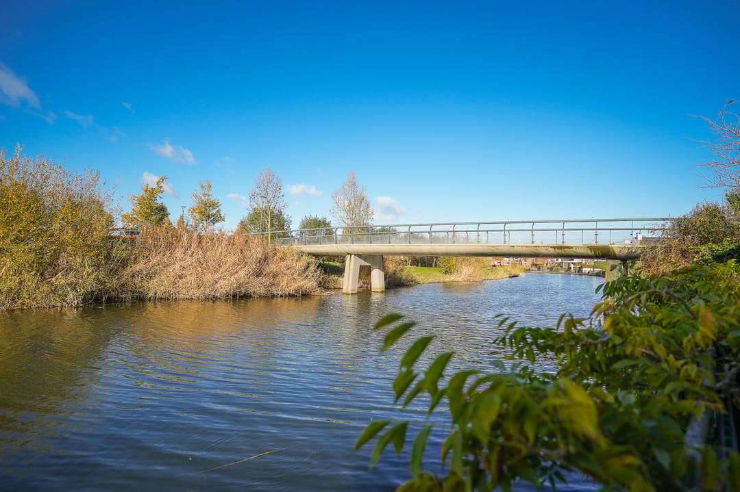 Foto 61 van Theo van Rijenlaan 14