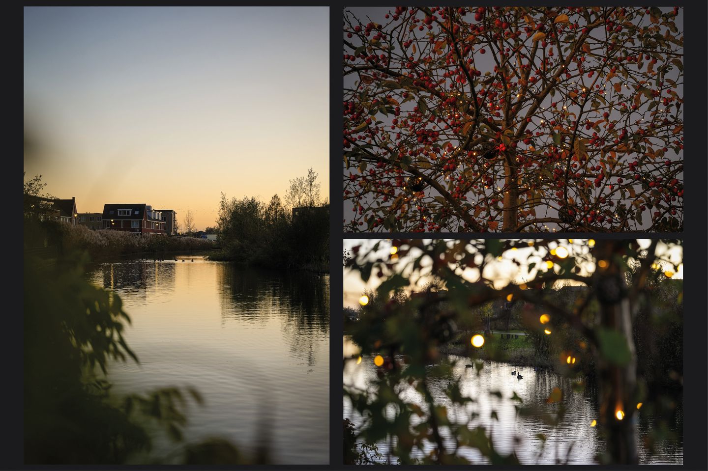 Foto 64 van Theo van Rijenlaan 14