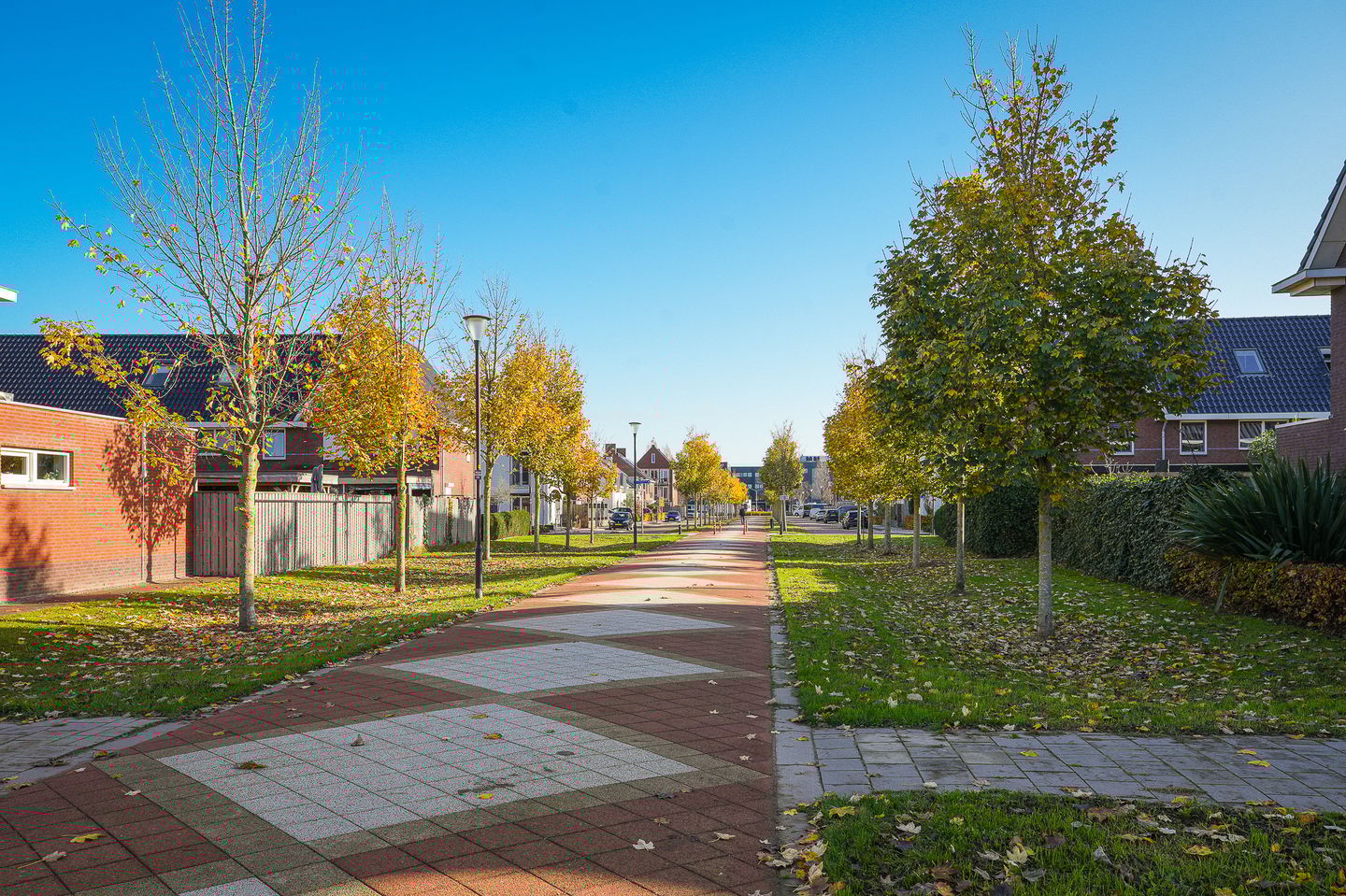 Foto 74 van Theo van Rijenlaan 14