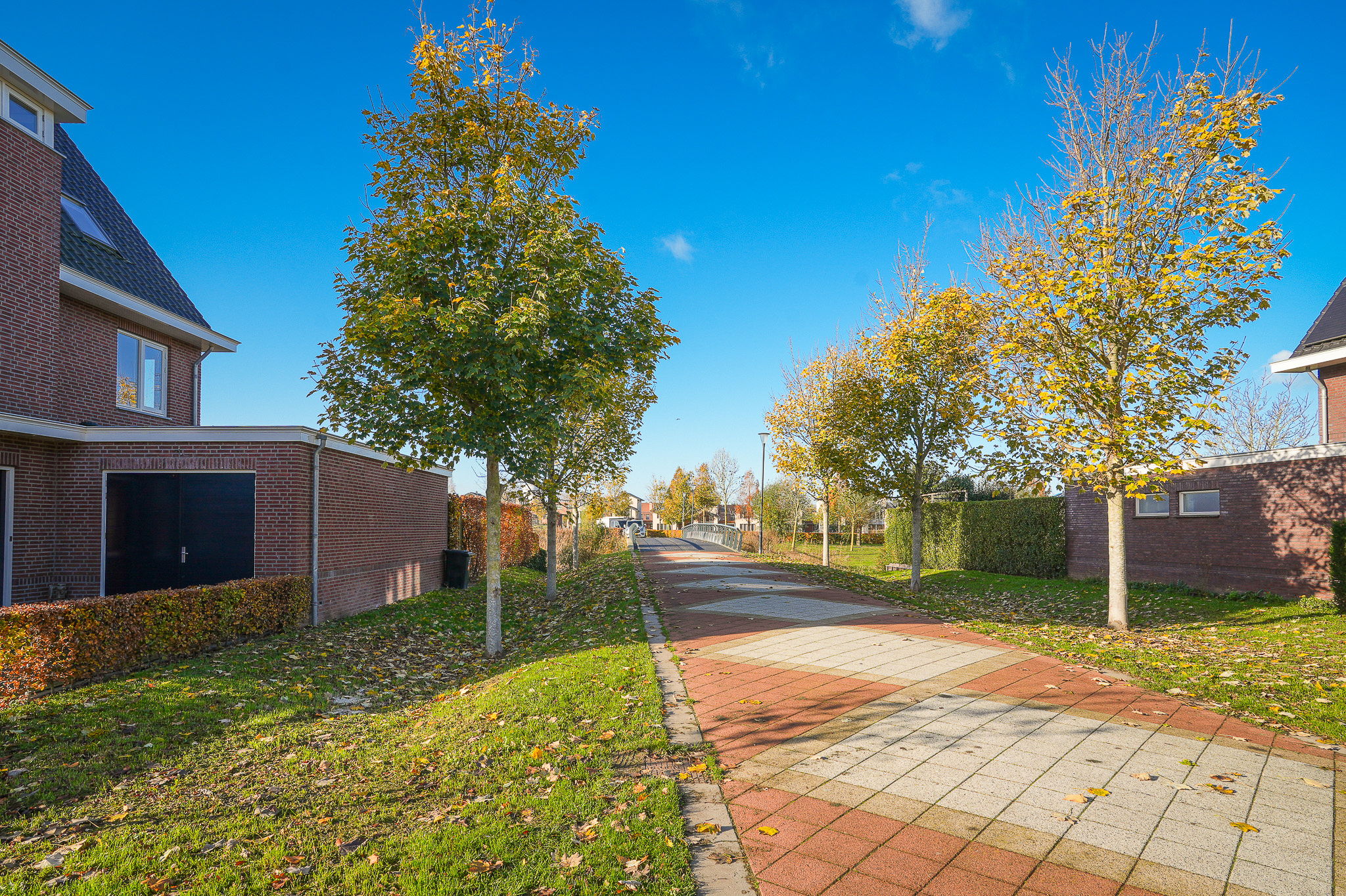 Foto 75 van Theo van Rijenlaan 14