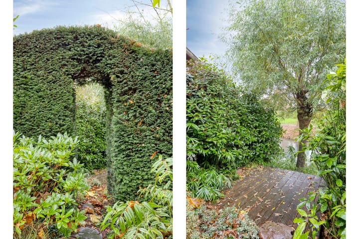 Foto 50 van Neubourg 13