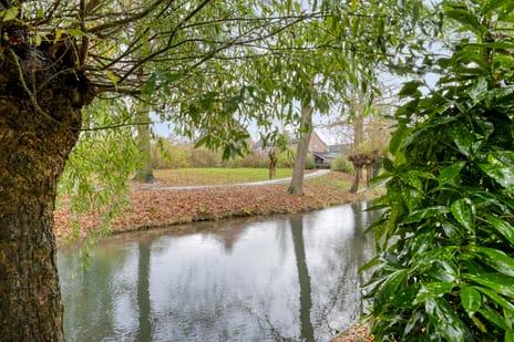 Neubourg 13 tertiary image