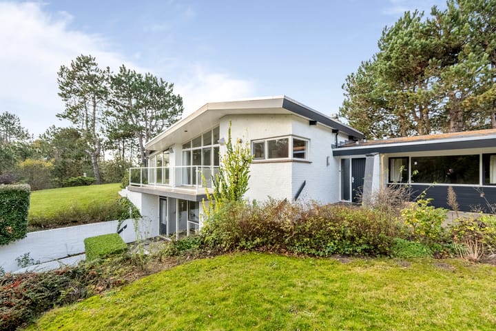 Foto 47 van Herman Heijermansweg 10