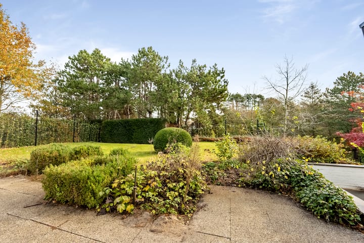 Foto 50 van Herman Heijermansweg 10